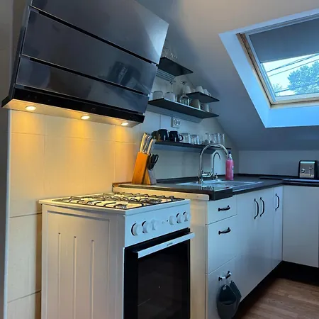 Emun Grigo Lofthouse * クルージュ＝ナポカ